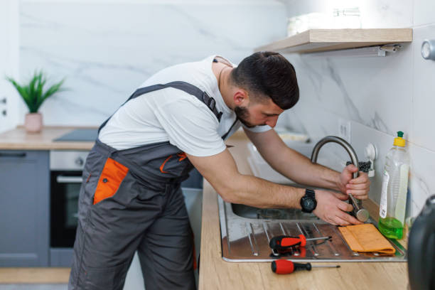 Best Emergency Plumber  in Imlay City, MI