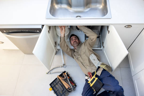 Best Sprinkler Systems  in Imlay City, MI
