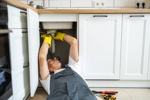 Best Commercial Plumbing Services  in Imlay City, MI