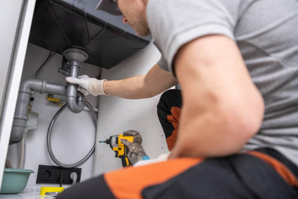 Best Clogged Drain Plumber  in Imlay City, MI